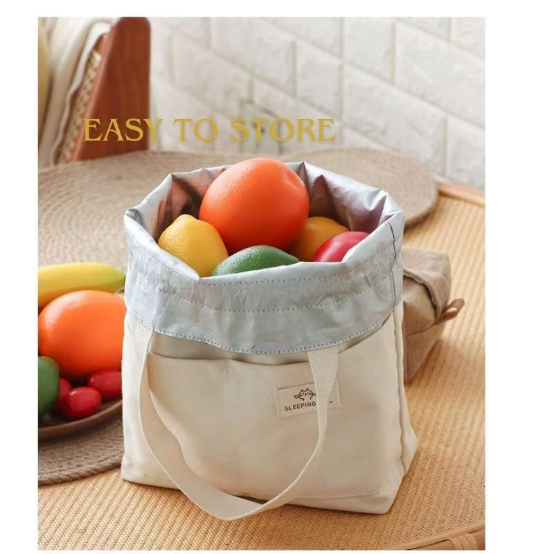 Portable Thermal Lunch Bag – Double-Layer Insulated Food Carry Bag